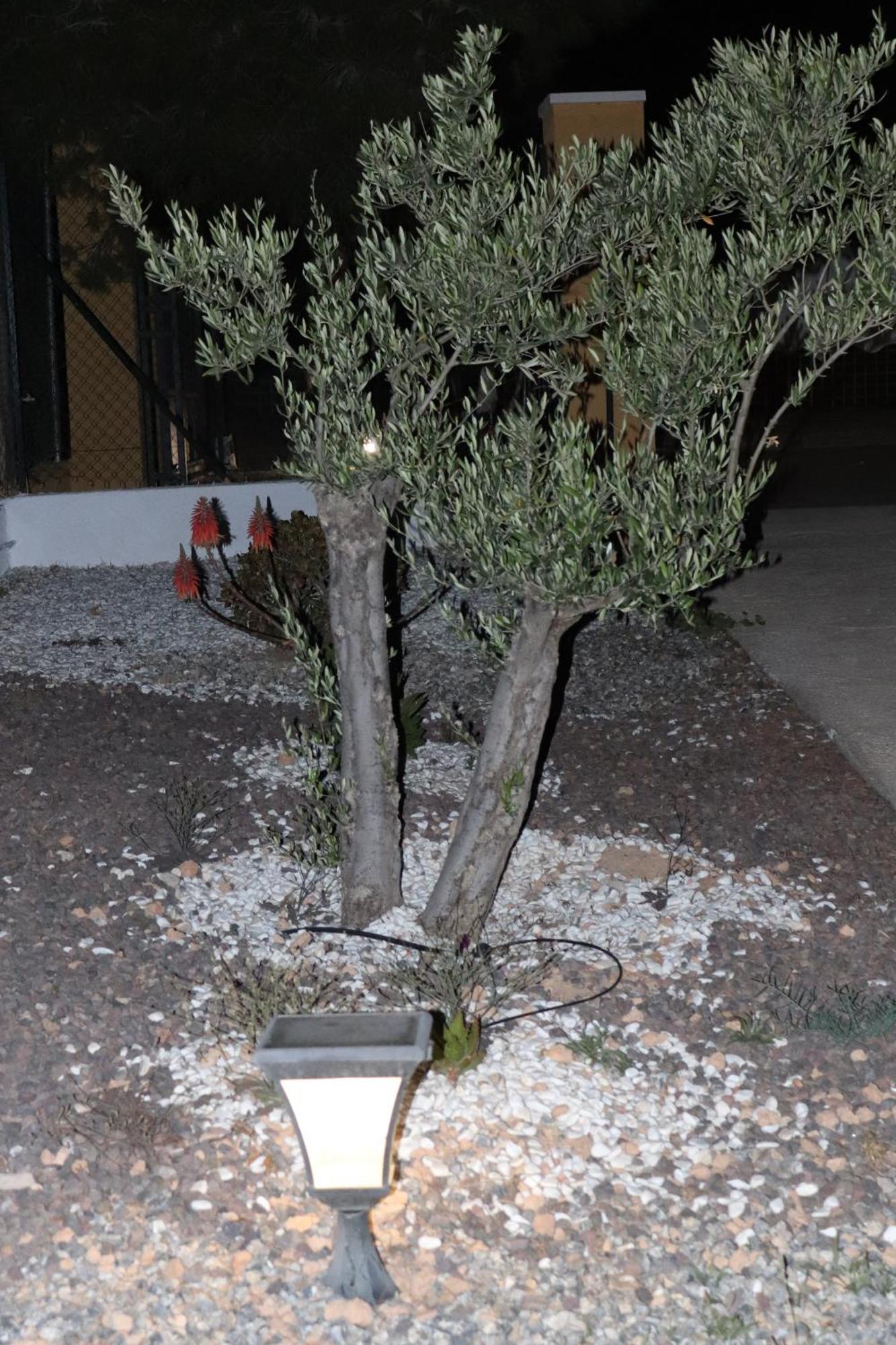 Cortijo Pinar 2